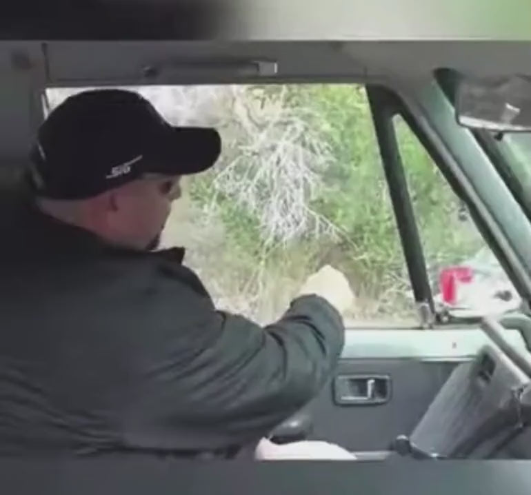 Vidéo